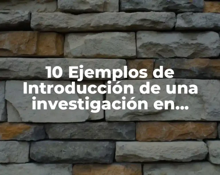 10 Ejemplos de Introducción de una investigación en catéter venoso periférico