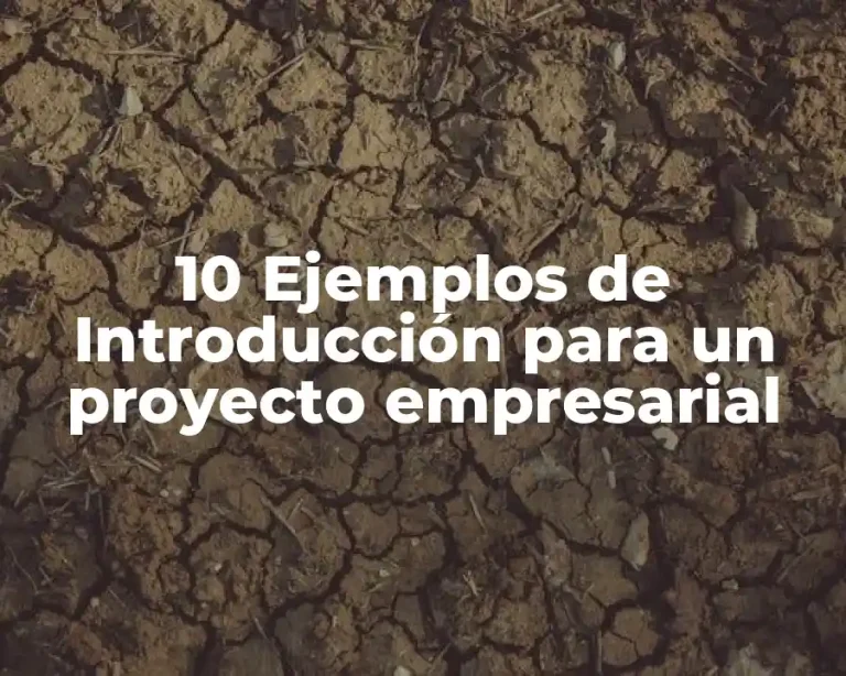 10 Ejemplos de Introducción para un proyecto empresarial