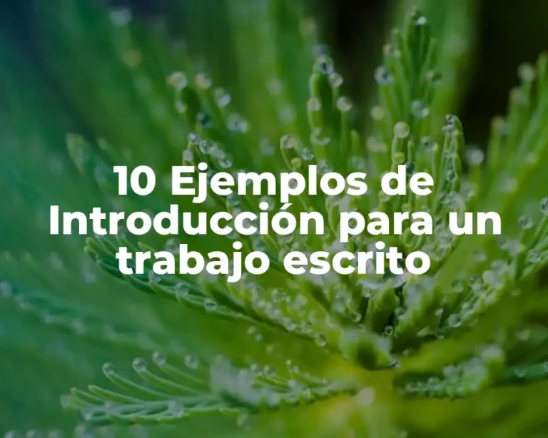 10 Ejemplos de Introducción para un trabajo escrito