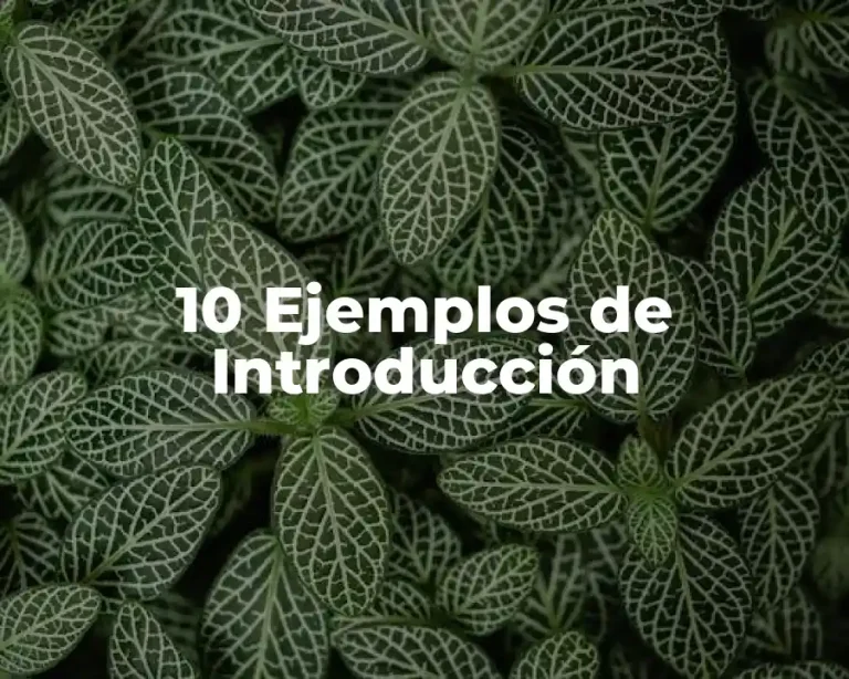 10 Ejemplos de Introducción