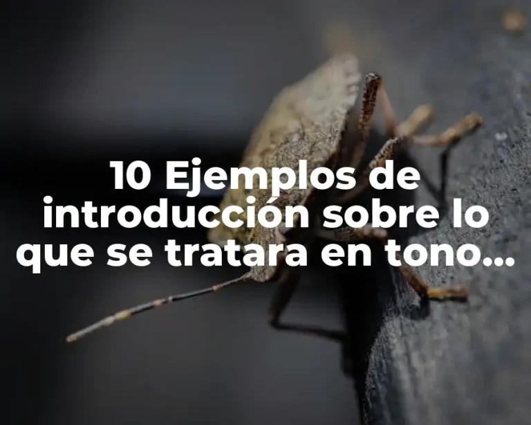 10 Ejemplos de introducción sobre lo que se tratara en tono informal y menciona que habla de Ejemplos de Punto y Aparte Cortos