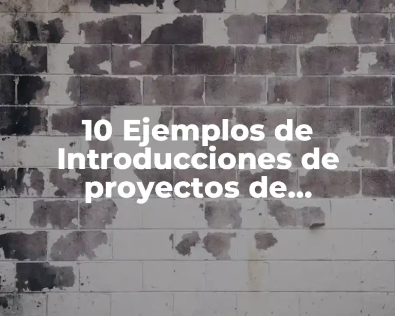 10 Ejemplos de Introducciones de proyectos de investigación