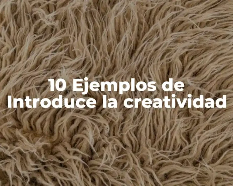 10 Ejemplos de Introduce la creatividad