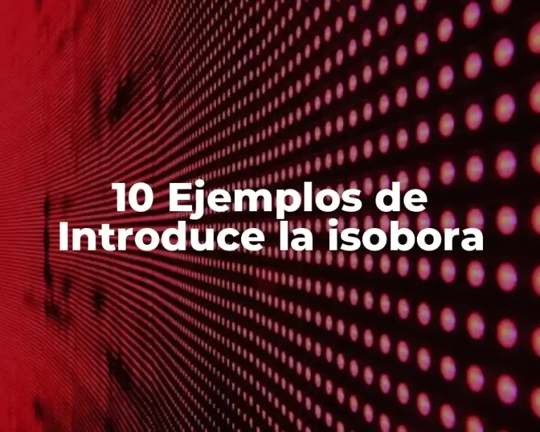 10 Ejemplos de Introduce la isobora
