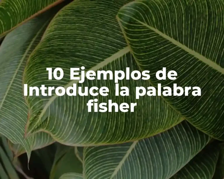 10 Ejemplos de Introduce la palabra fisher