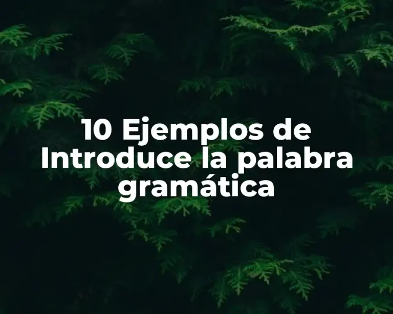 10 Ejemplos de Introduce la palabra gramática