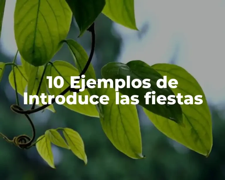 10 Ejemplos de Introduce las fiestas