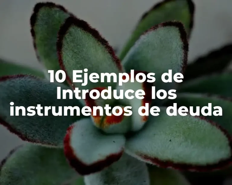 10 Ejemplos de Introduce los instrumentos de deuda