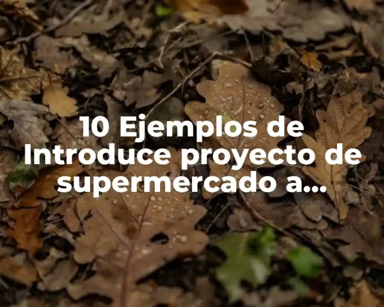 10 Ejemplos de Introduce proyecto de supermercado a domicilio