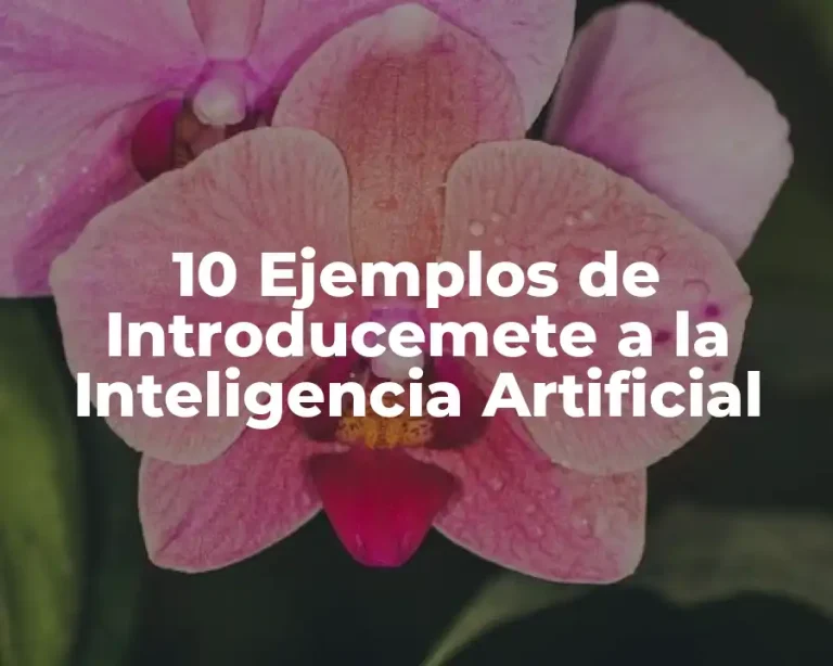 10 Ejemplos de Introducemete a la Inteligencia Artificial