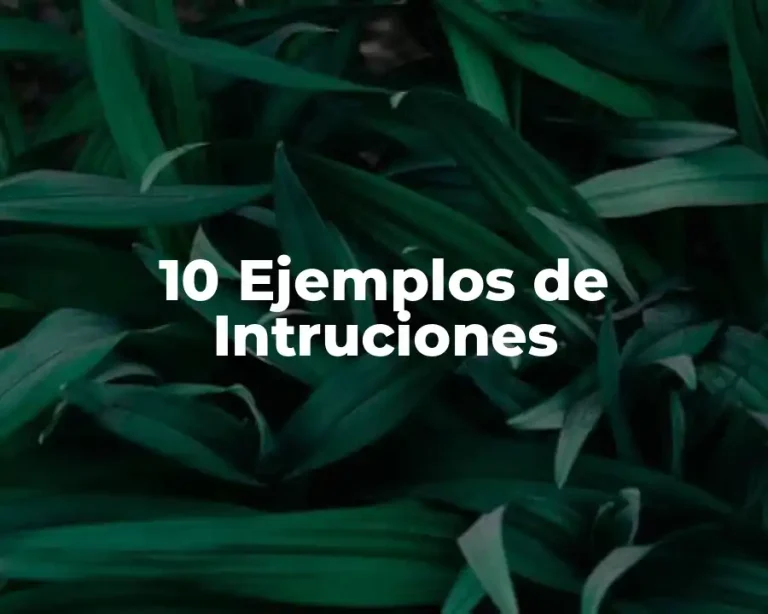 10 Ejemplos de Intruciones