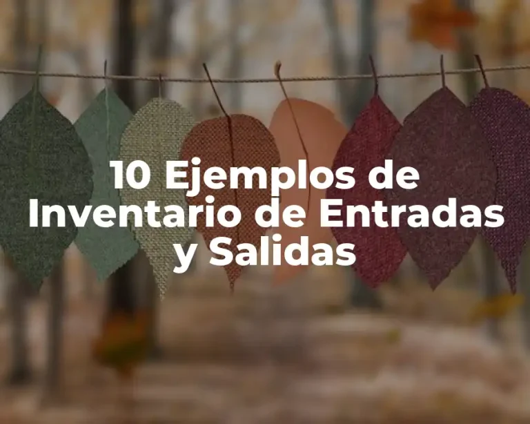 10 Ejemplos de Inventario de Entradas y Salidas