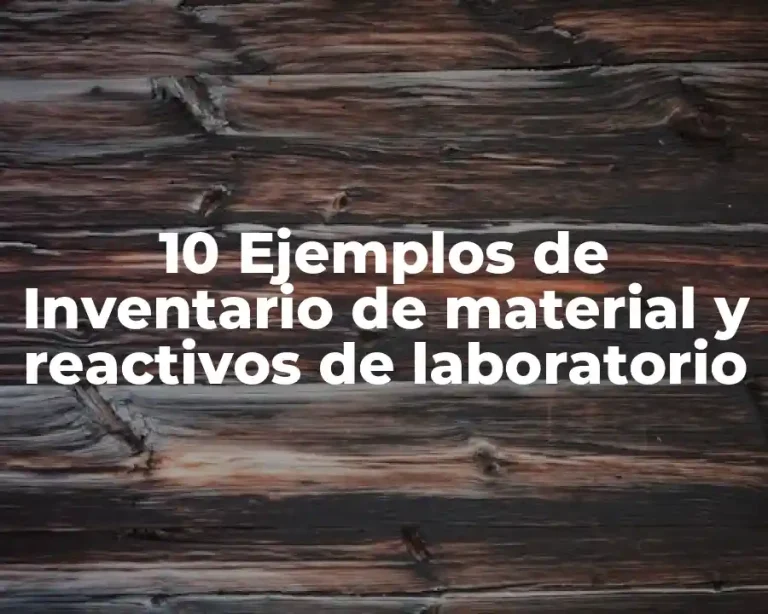 10 Ejemplos de Inventario de material y reactivos de laboratorio