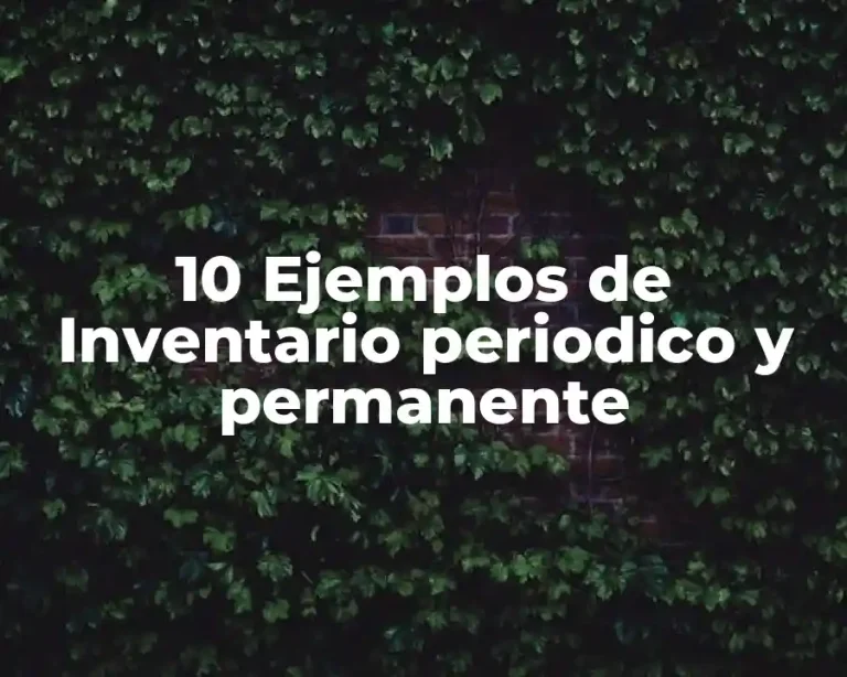 10 Ejemplos de Inventario periodico y permanente