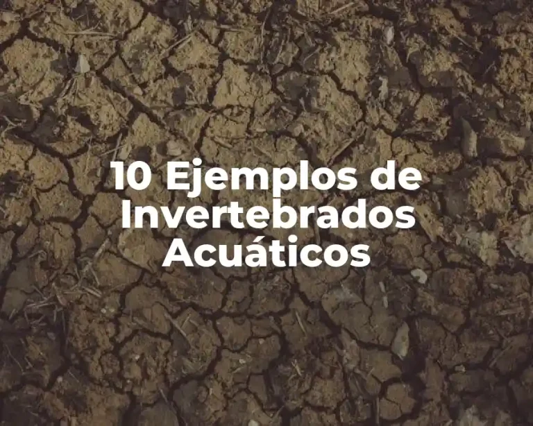 10 Ejemplos de Invertebrados Acuáticos