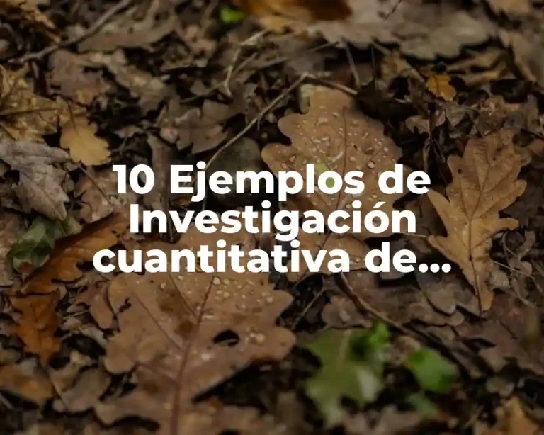 10 Ejemplos de Investigación cuantitativa de mercados