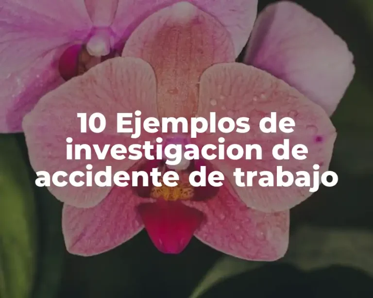 10 Ejemplos de investigacion de accidente de trabajo