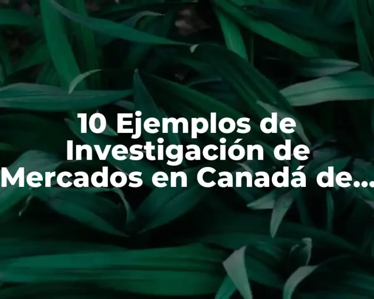 10 Ejemplos de Investigación de Mercados en Canadá de Productos Nuevos