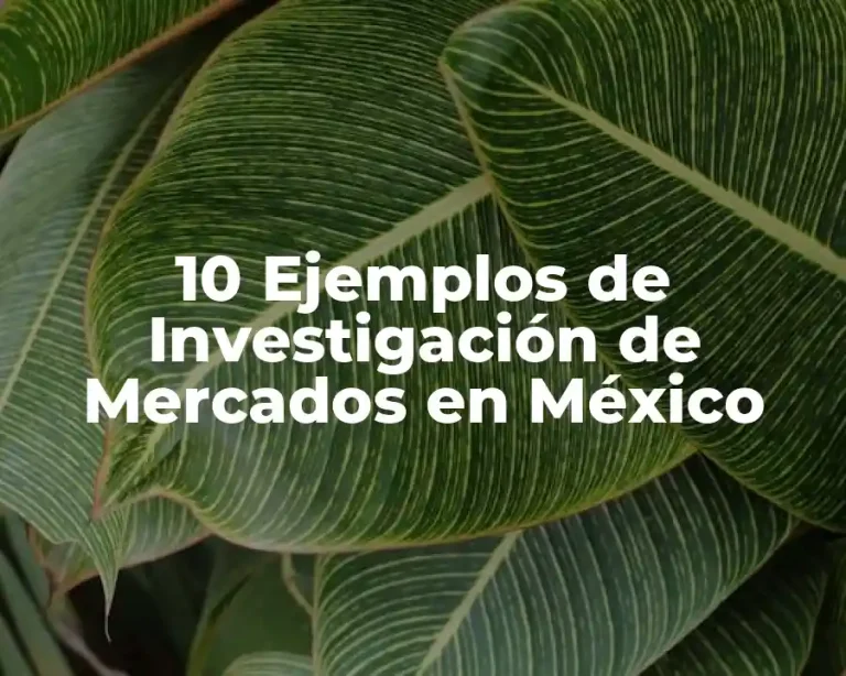 10 Ejemplos de Investigación de Mercados en México