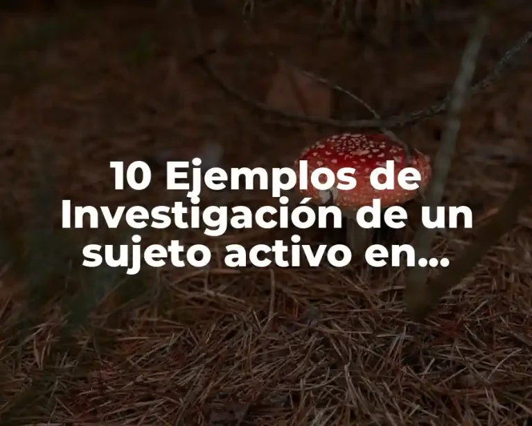 10 Ejemplos de Investigación de un sujeto activo en derecho