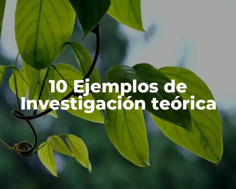 10 Ejemplos de Investigación teórica