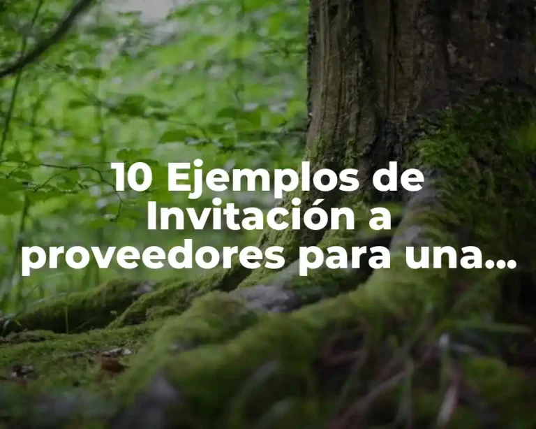 10 Ejemplos de Invitación a proveedores para una licitación estatal