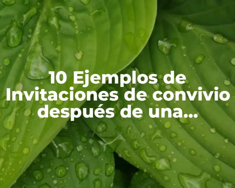 10 Ejemplos de Invitaciones de convivio después de una graduación