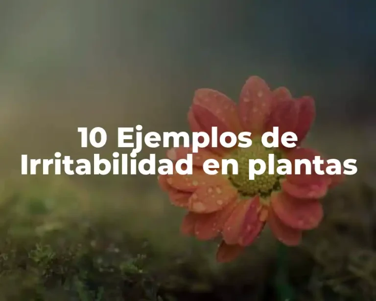 10 Ejemplos de Irritabilidad en plantas