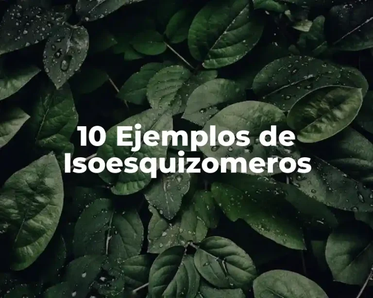 10 Ejemplos de Isoesquizomeros