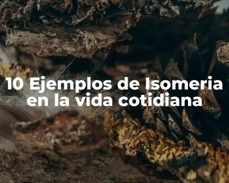 10 Ejemplos de Isomeria en la vida cotidiana