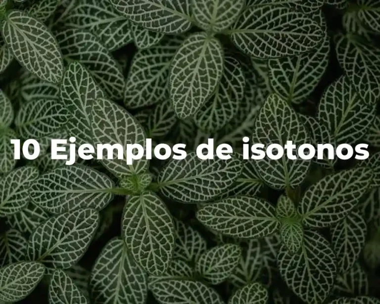 10 Ejemplos de isotonos