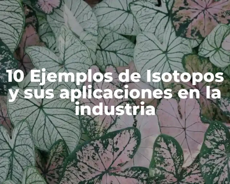 10 Ejemplos de Isotopos y sus aplicaciones en la industria