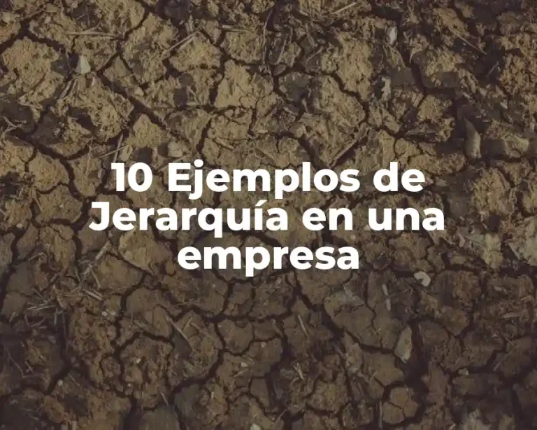 10 Ejemplos de Jerarquía en una empresa