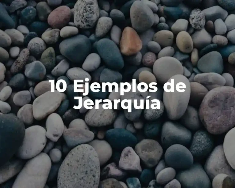 10 Ejemplos de Jerarquía