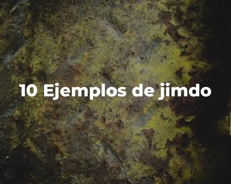 10 Ejemplos de jimdo