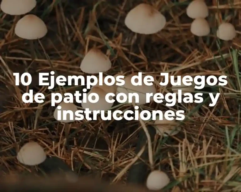 10 Ejemplos de Juegos de patio con reglas y instrucciones