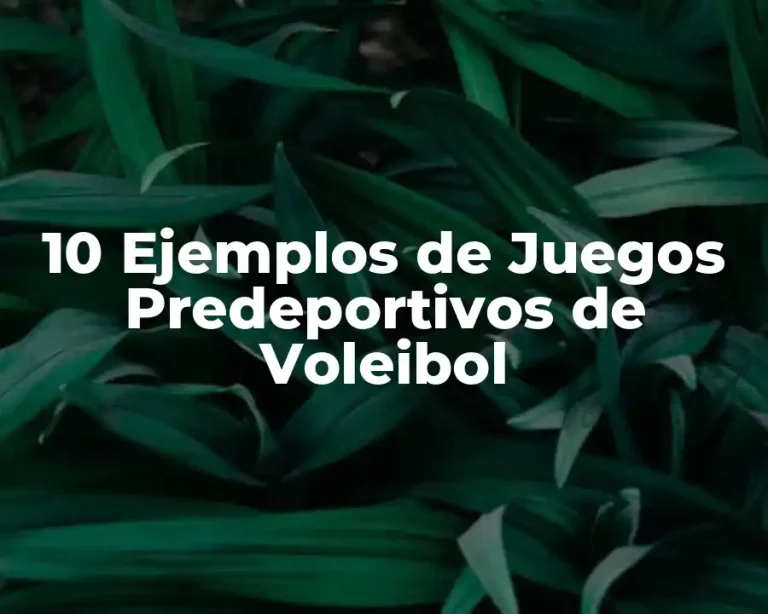 10 Ejemplos de Juegos Predeportivos de Voleibol