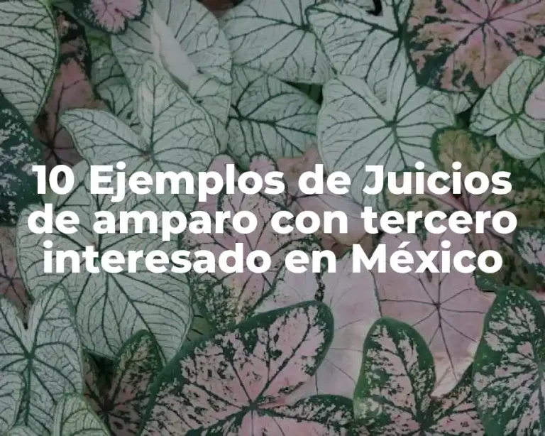 10 Ejemplos de Juicios de amparo con tercero interesado en México