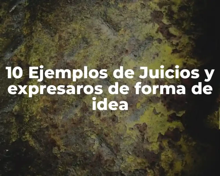 10 Ejemplos de Juicios y expresaros de forma de idea