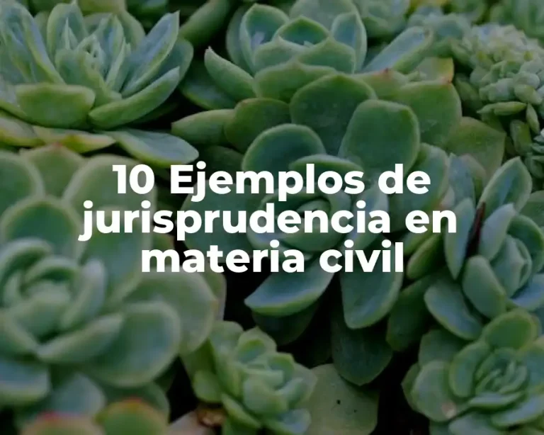 10 Ejemplos de jurisprudencia en materia civil