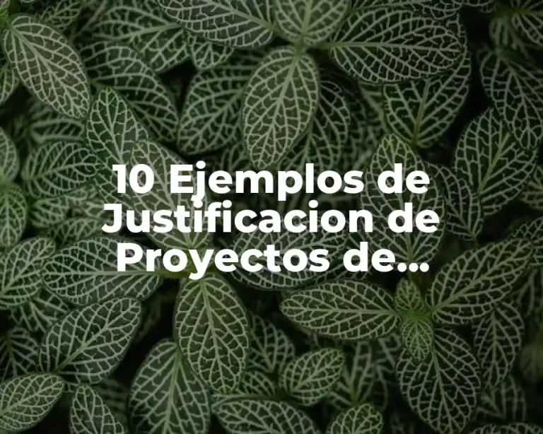10 Ejemplos de Justificacion de Proyectos de Investigacion
