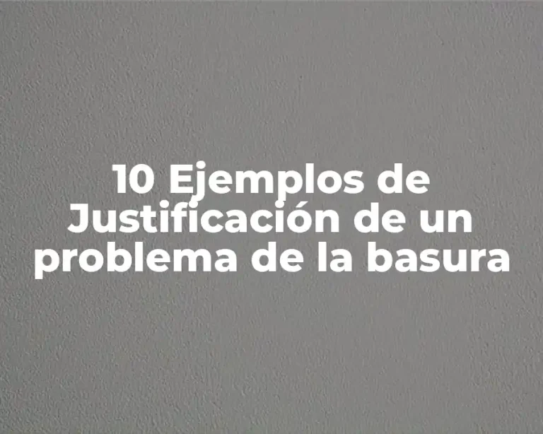 10 Ejemplos de Justificación de un problema de la basura