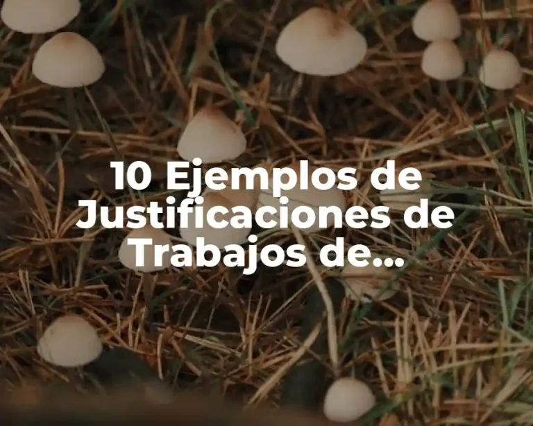 10 Ejemplos de Justificaciones de Trabajos de Investigación