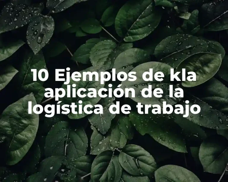 10 Ejemplos de kla aplicación de la logística de trabajo