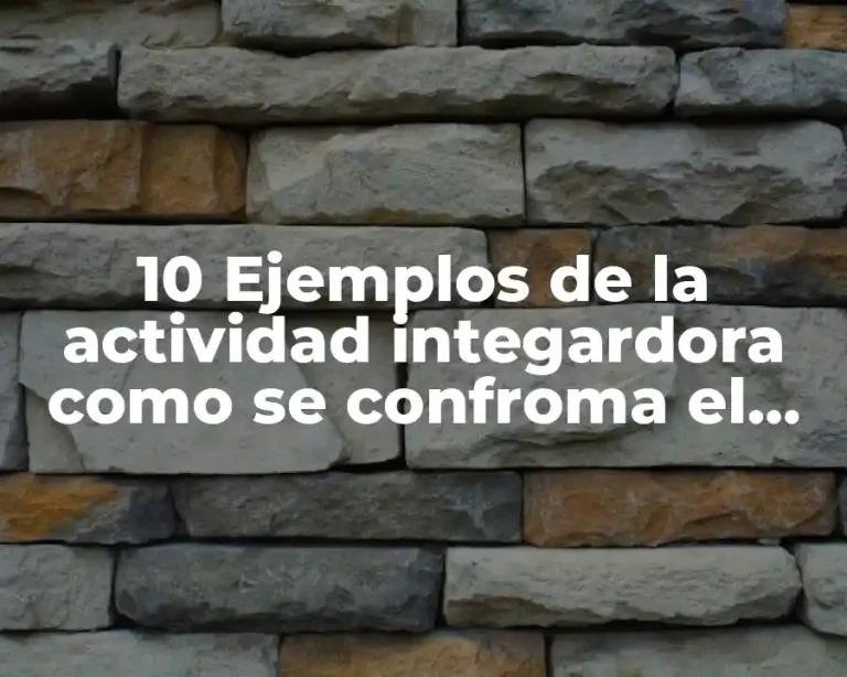 10 Ejemplos de la actividad integardora como se confroma el estado