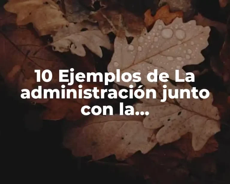 10 Ejemplos de La administración junto con la mercadotecnología