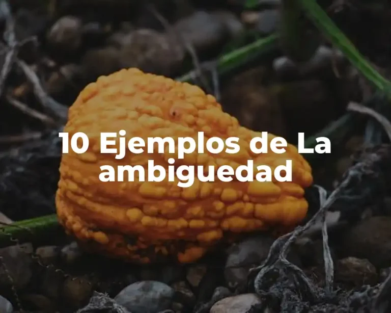 10 Ejemplos de La ambiguedad