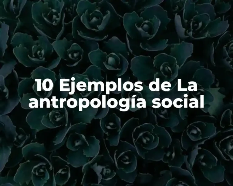 10 Ejemplos de La antropología social