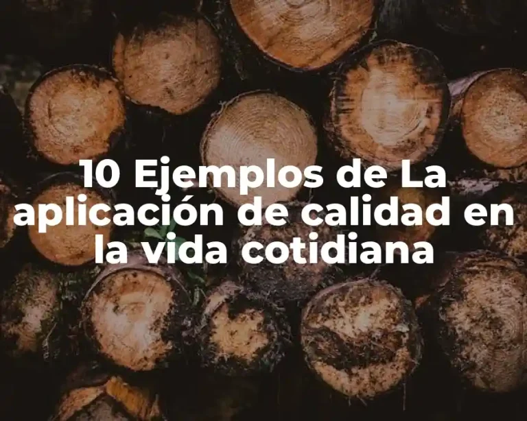 10 Ejemplos de La aplicación de calidad en la vida cotidiana