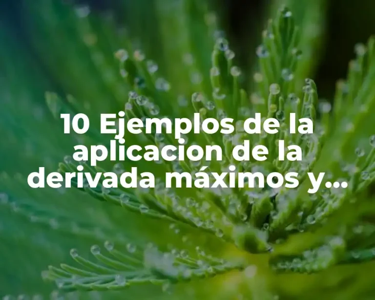 10 Ejemplos de la aplicacion de la derivada máximos y mínimo